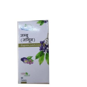 Buy dhootapapeshwar jamun at discounted prices from rajulretails.com. Get 100% Original products at discounted prices.